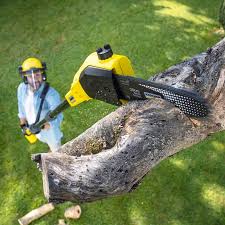 Best Lawn Mowing Services  in Bellview, FL